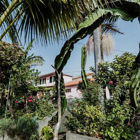 City View Gardens I 丰沙尔 外观 照片